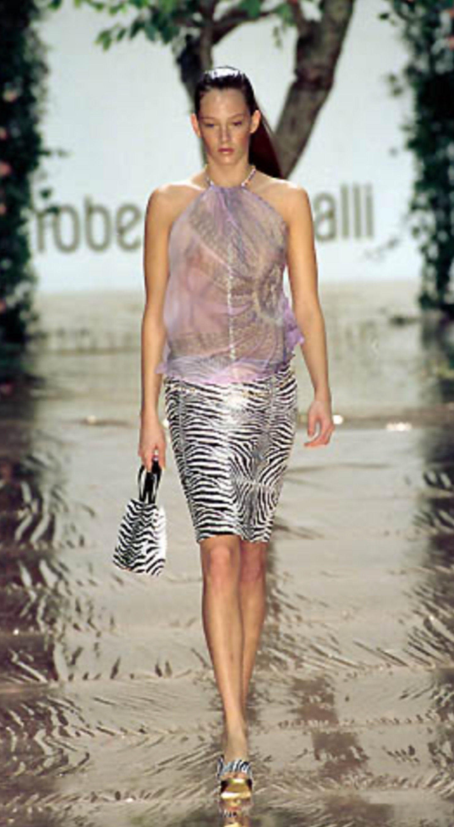 Roberto Cavalli Runway SS 2000 Zebra Print Beaded Skirt & Top Set