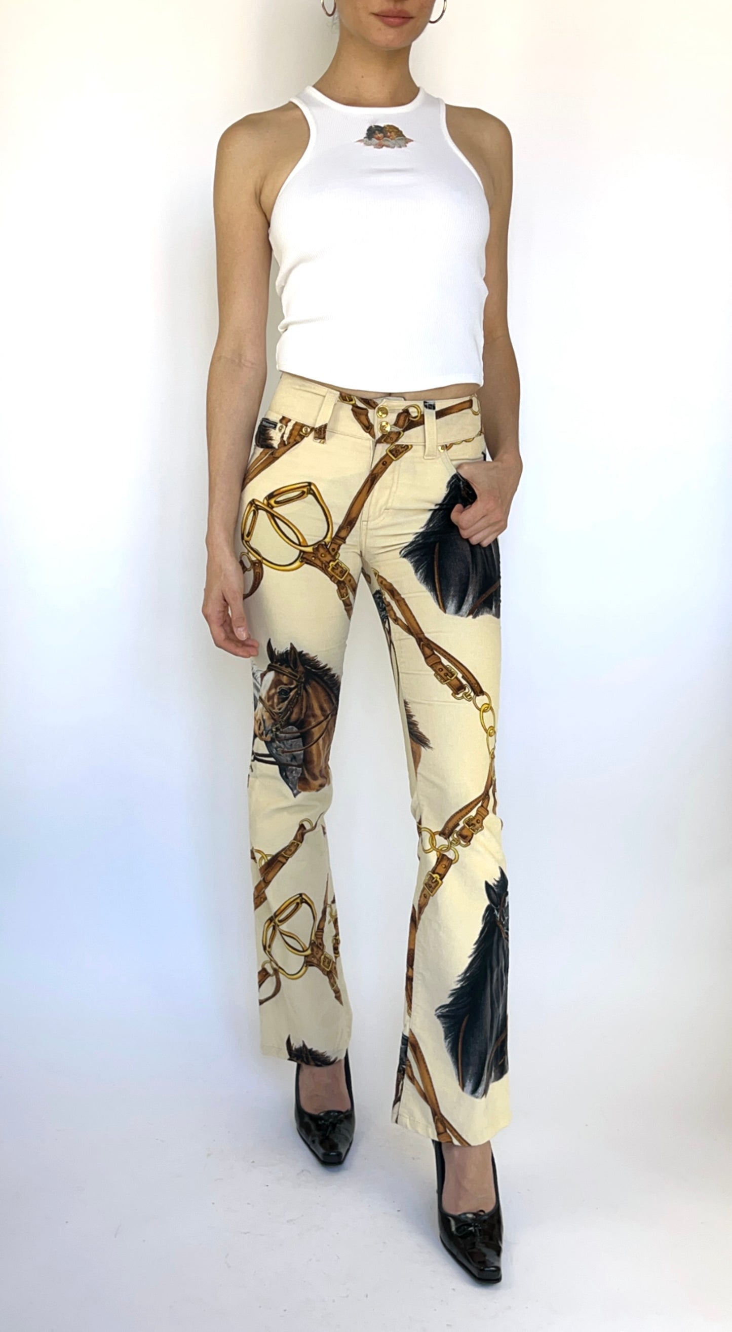 Dolce & Gabbana ~ 2000s Velvet Horse Print Pants