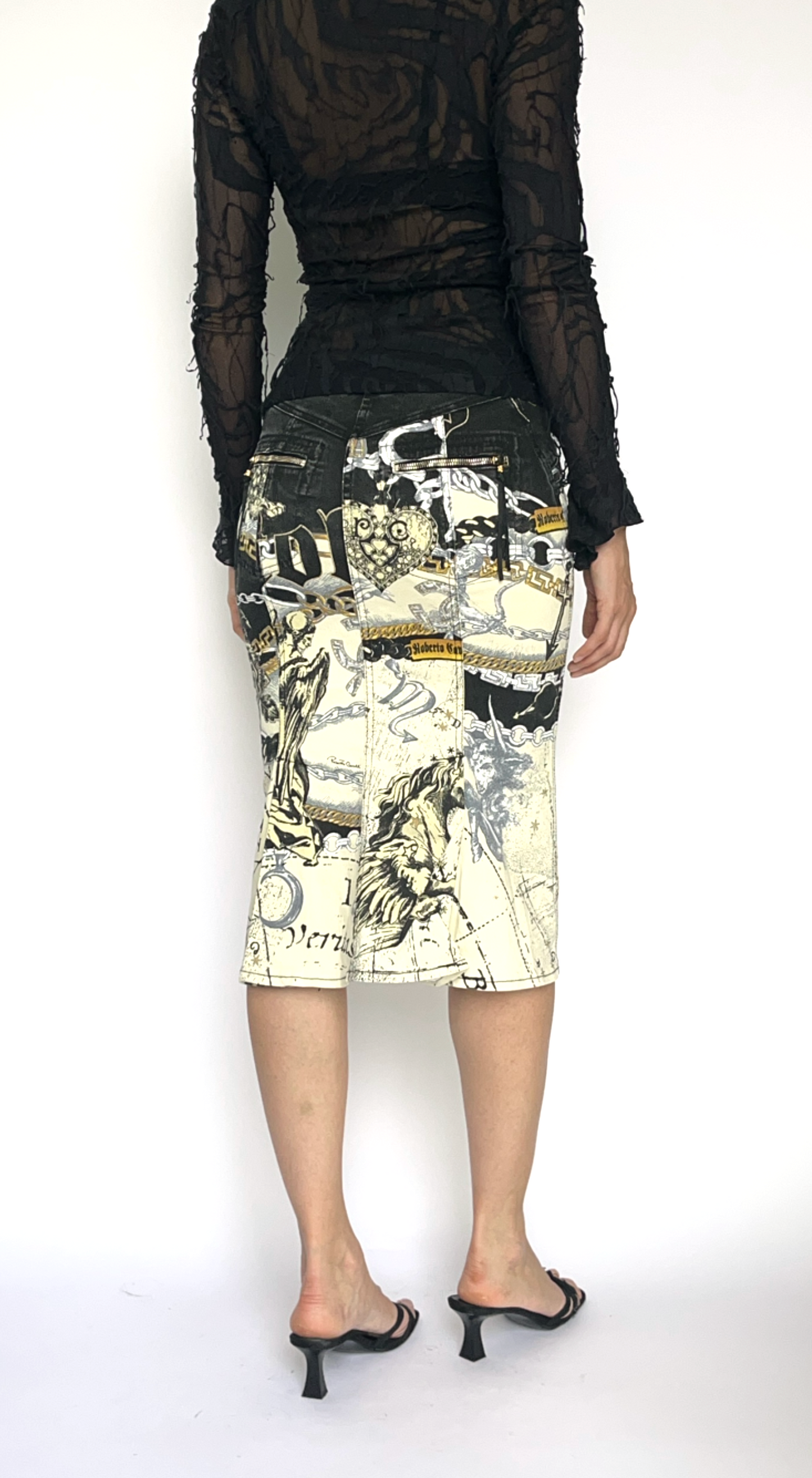 Roberto Cavalli ~ FW 2003 Midi Astronomy Skirt