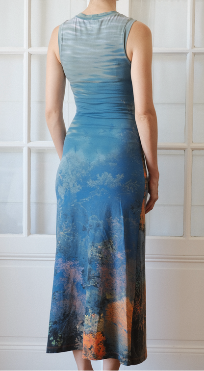 Roberto Cavalli 1990s Ocean Coral Reef Print Bodycon Maxi Dress