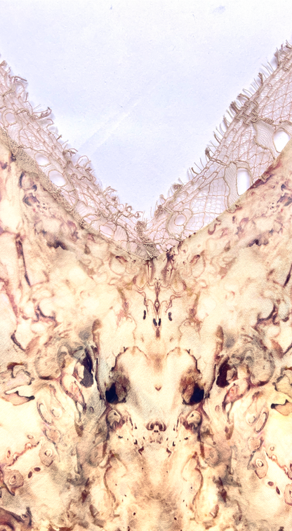 Alexander McQueen SS 2012 Silk Lace Top