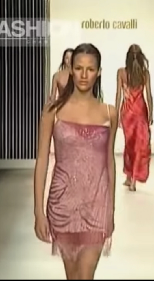 Rare Roberto Cavalli Freedom 1999 Runway Mini Dress Sequin Mesh Fringe
